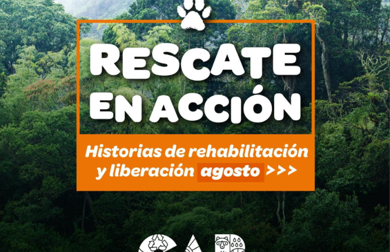 Nueva edición destaca historias de rescate de fauna silvestre