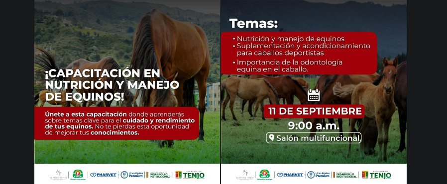 Capacitación sobre nutrición y manejo de equinos organizada por la Secretaría de Desarrollo Económico y Medio Ambiente