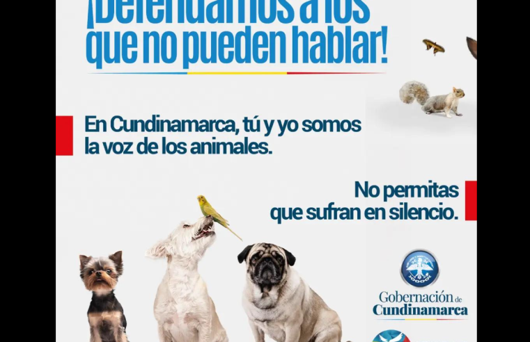 Instituto de Protección y Bienestar Animal de Cundinamarca promueve la prevención del maltrato animal