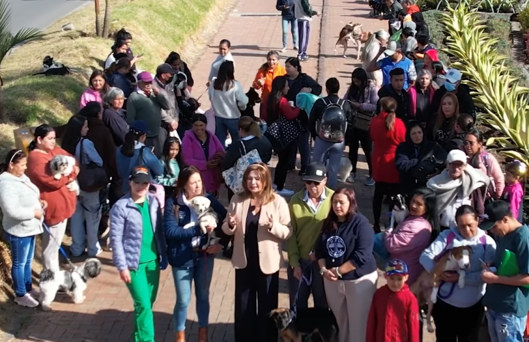 Más de 120 perros y gatos fueron esterilizados en jornada de bienestar animal en Cajicá + Video