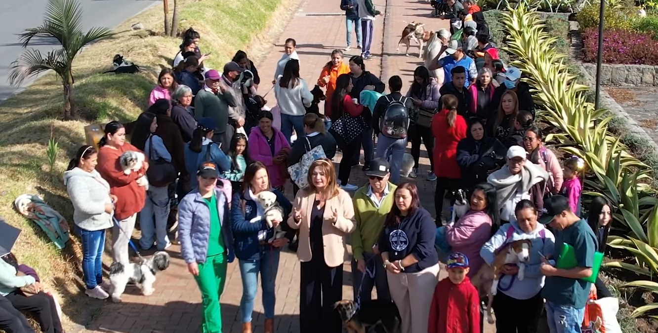 Más de 120 perros y gatos fueron esterilizados en jornada de bienestar animal en Cajicá + Video