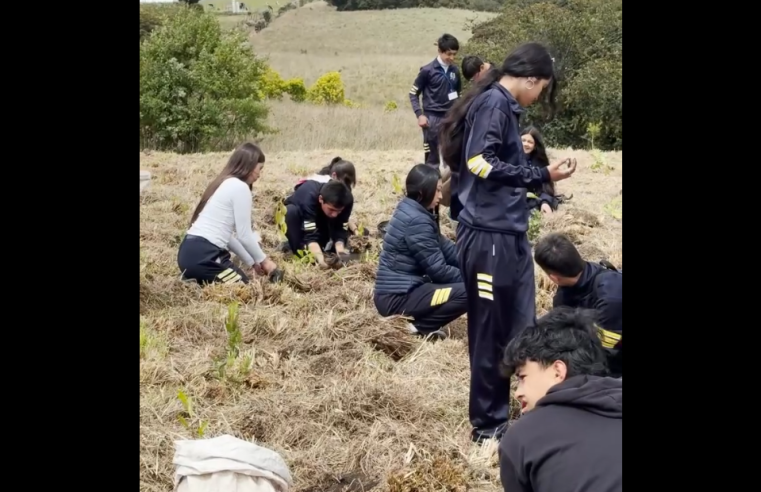 Jornadas de siembra en Cogua celebran el Día Nacional de la Biodiversidad + Video