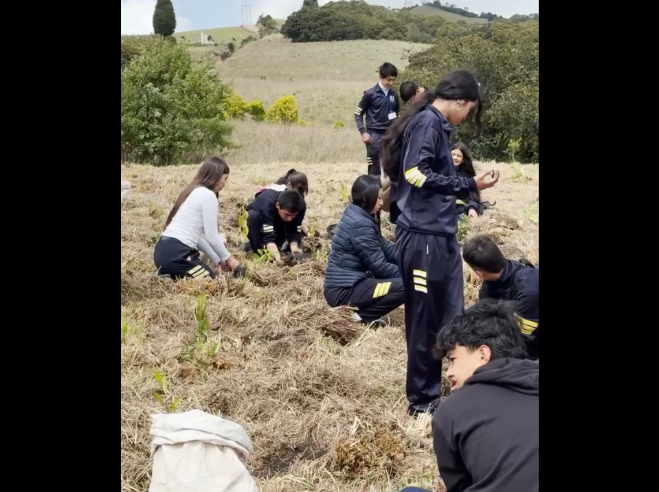 Jornadas de siembra en Cogua celebran el Día Nacional de la Biodiversidad + Video