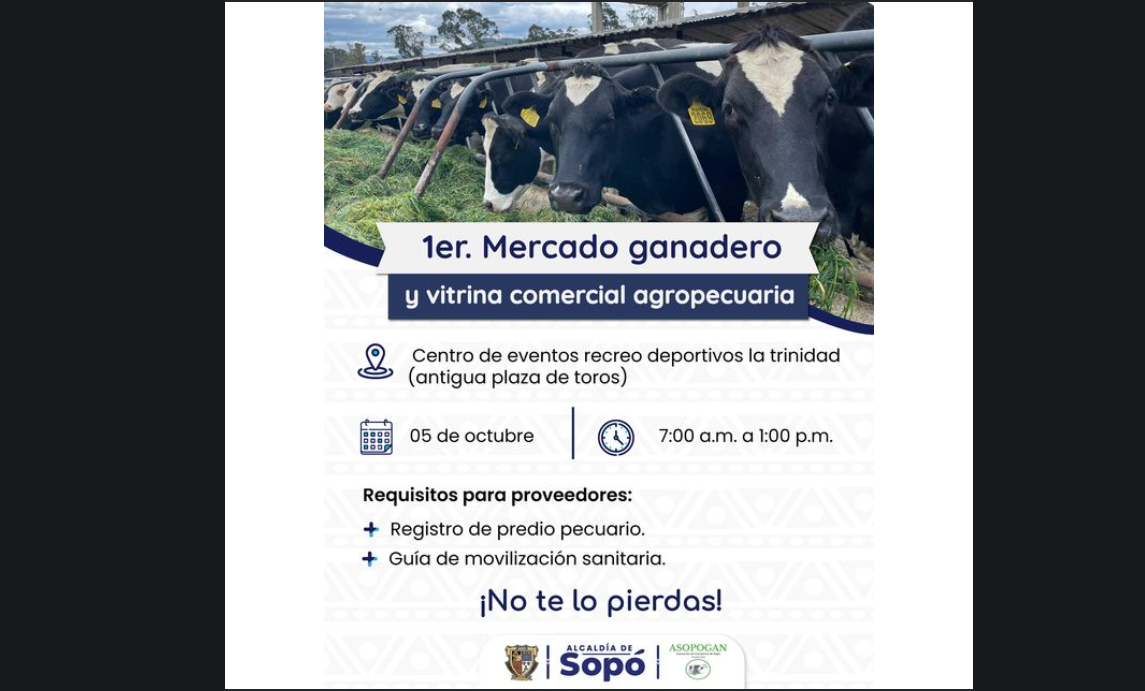 Sopó organiza su primer mercado ganadero bovino para el 5 de octubre