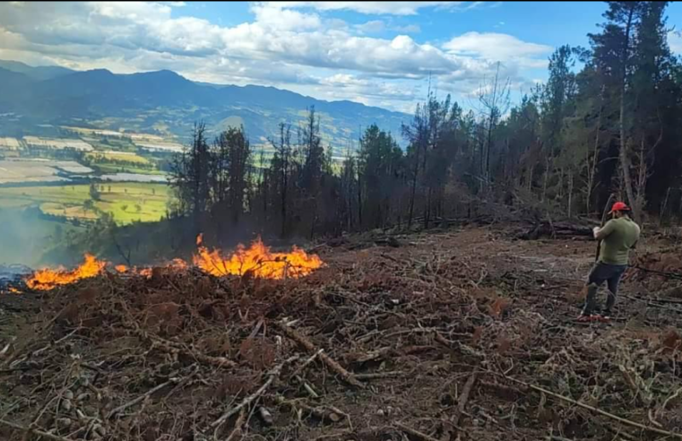 Informe del Alcalde y el Consejo Municipal sobre Incendio Forestal en la Vereda La Puerta + Video