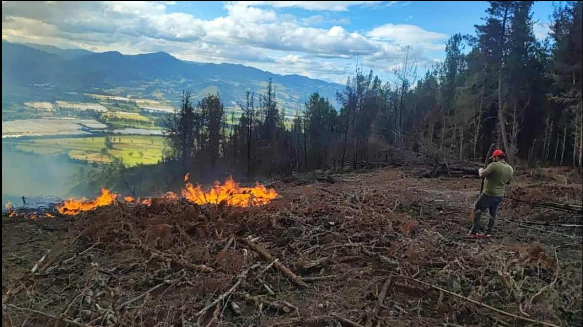 Informe del Alcalde y el Consejo Municipal sobre Incendio Forestal en la Vereda La Puerta + Video