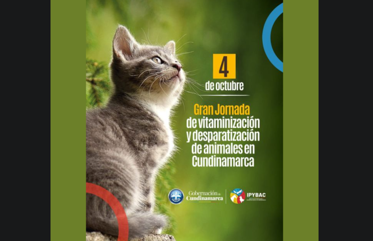 Cundinamarca se prepara para gran jornada de vitaminización y desparasitación en el Día Mundial de los Animales