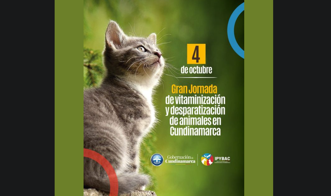 Cundinamarca se prepara para gran jornada de vitaminización y desparasitación en el Día Mundial de los Animales