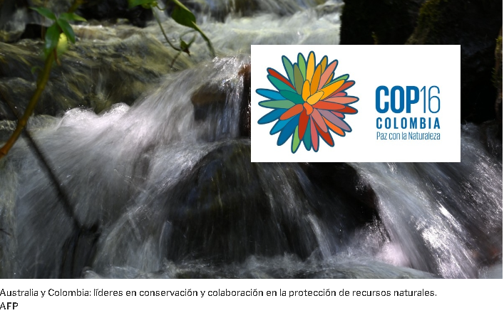 COP16: Alianza entre Australia y Colombia para la protección de ecosistemas marinos