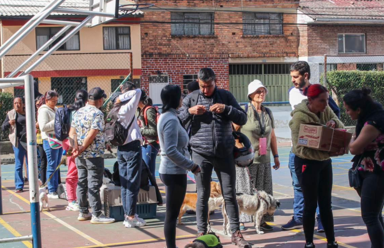 Jornada masiva de esterilización y bienestar animal en Cundinamarca