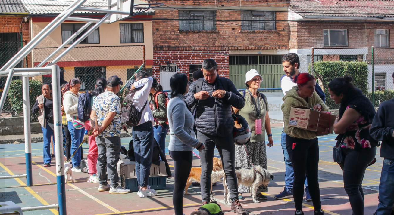 Jornada masiva de esterilización y bienestar animal en Cundinamarca