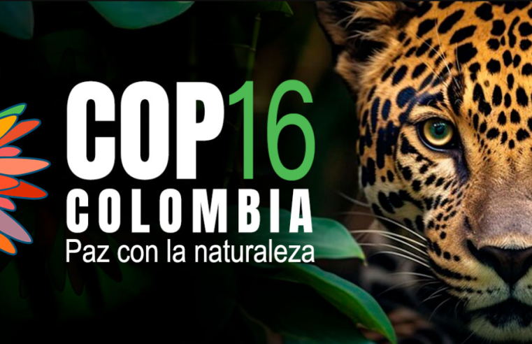 Julia Miranda Resalta la Importancia de la COP16 para Colombia y la Biodiversidad Global