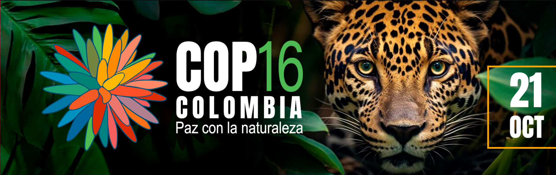 Julia Miranda Resalta la Importancia de la COP16 para Colombia y la Biodiversidad Global