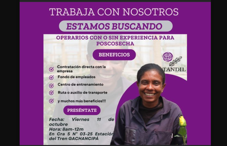 Oferta laboral en Gachancipá: Flores Tandil busca operarios