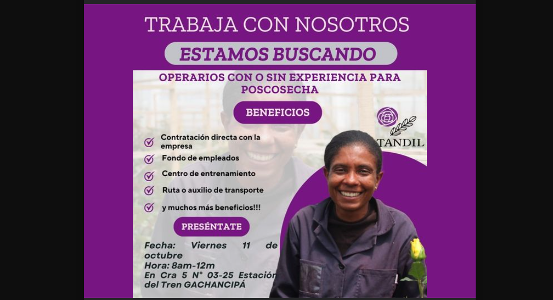 Oferta laboral en Gachancipá: Flores Tandil busca operarios