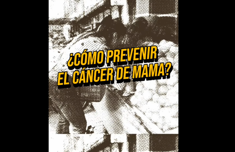 Programa “Cota a la Mano” destaca prevención, apoyo social y avances en movilidad + Video