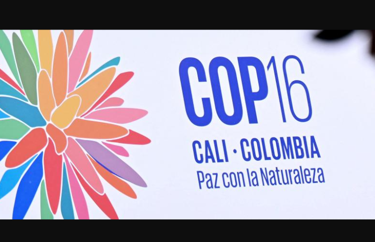 Cali se prepara para la inauguración de la COP-16, la mayor conferencia sobre biodiversidad en América Latina