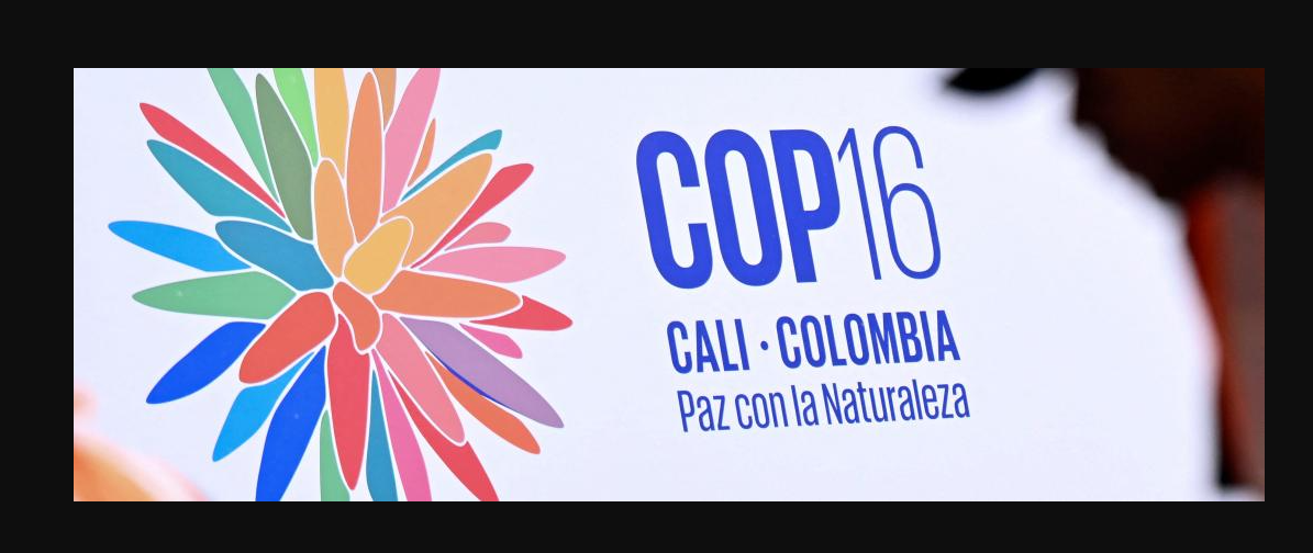 Cali se prepara para la inauguración de la COP-16, la mayor conferencia sobre biodiversidad en América Latina