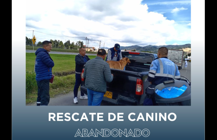 Rescatan a un perro abandonado en Tocancipá gracias a la denuncia ciudadana