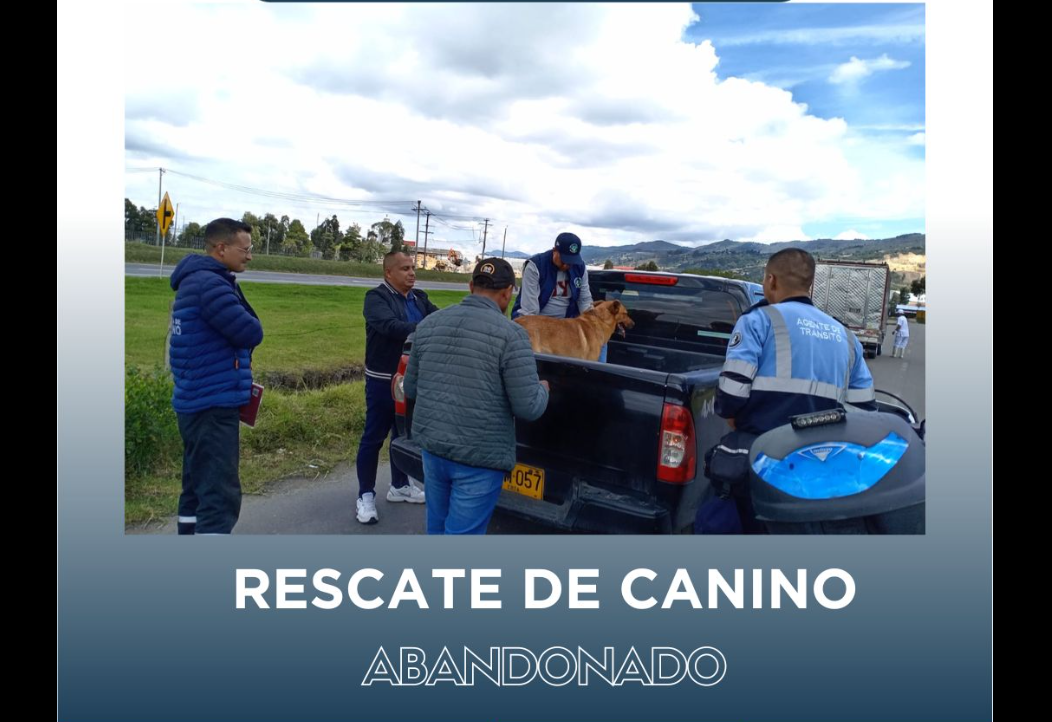 Rescatan a un perro abandonado en Tocancipá gracias a la denuncia ciudadana