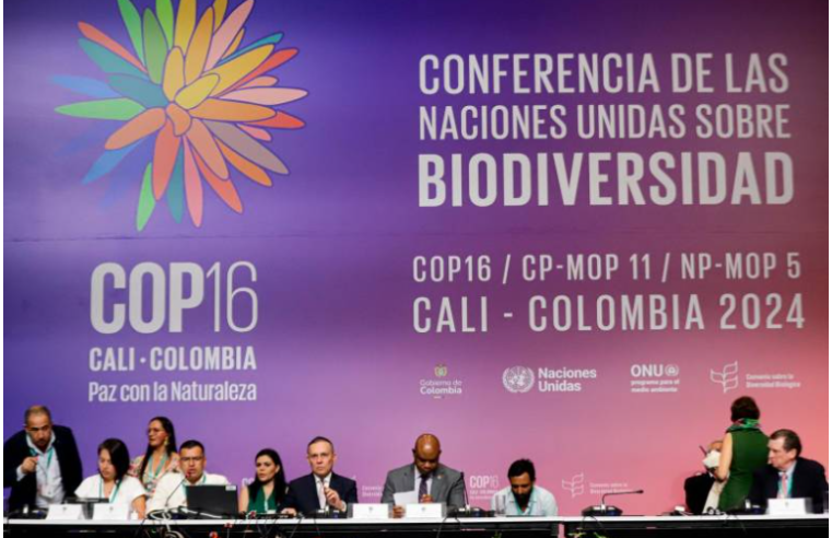 Avances y desafíos en la COP16: primeros acuerdos en biodiversidad y participación comunitaria