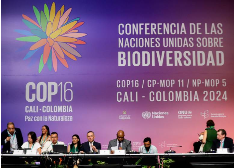 Avances y desafíos en la COP16: primeros acuerdos en biodiversidad y participación comunitaria