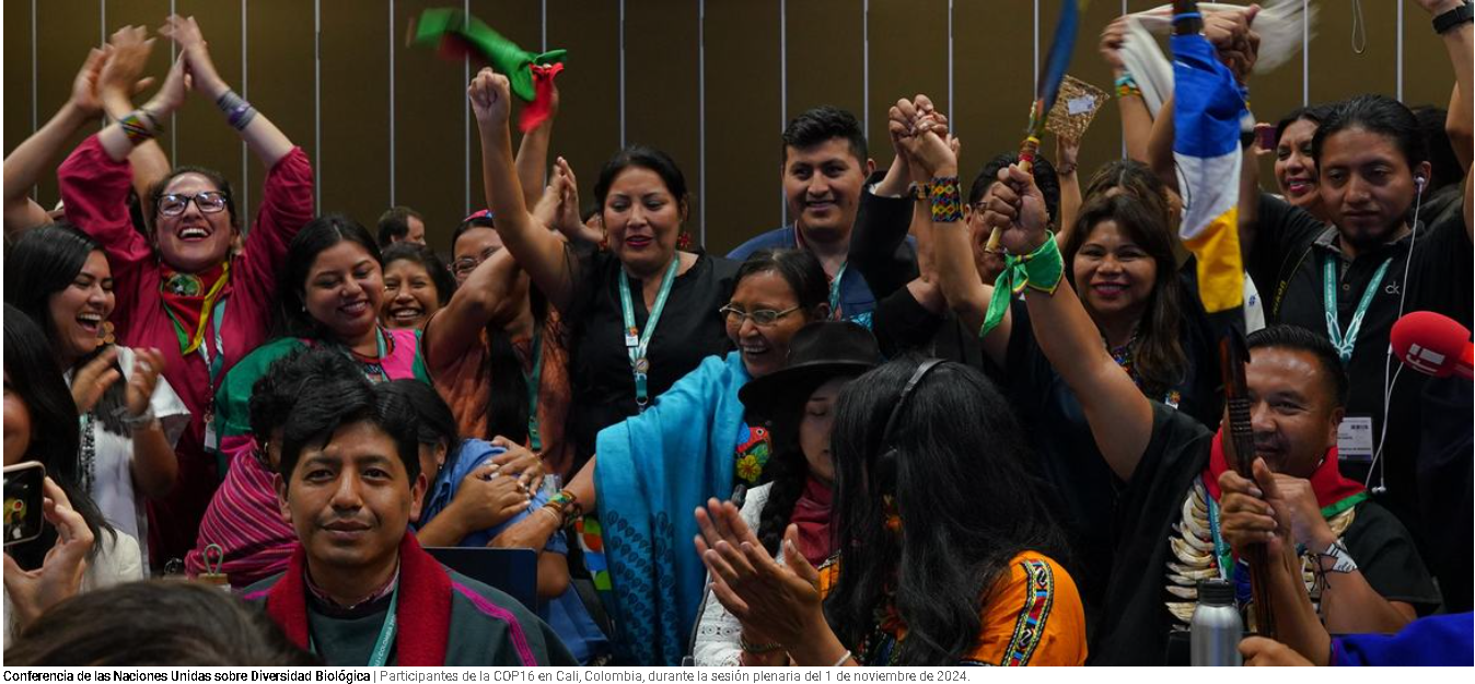 La COP16 concluye con avances en el reconocimiento de comunidades indígenas y afrodescendientes