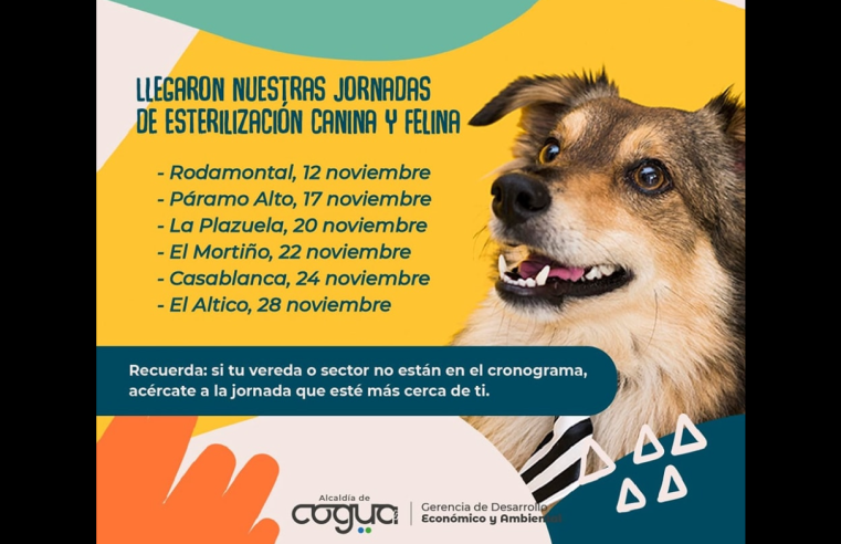 Jornadas de esterilización canina y felina disponibles sin inscripción previa