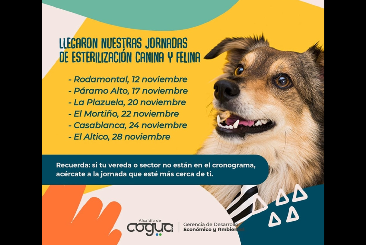 Jornadas de esterilización canina y felina disponibles sin inscripción previa