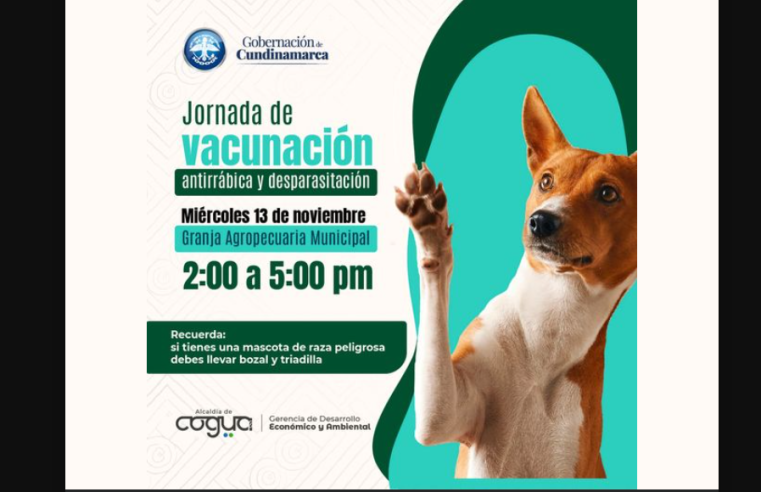 Cundinamarca invita a jornada gratuita de vacunación antirrábica y desparasitación para mascotas