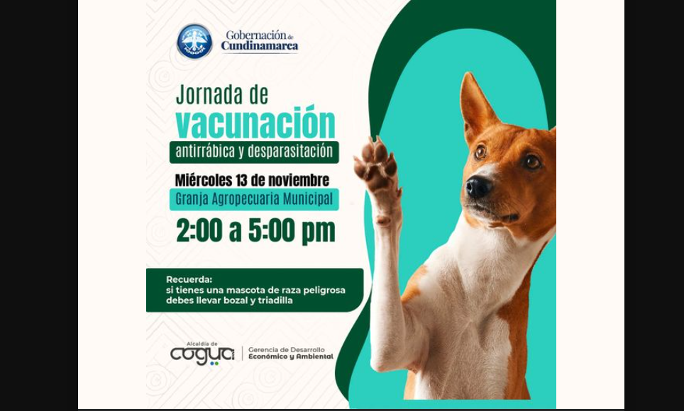 Cundinamarca invita a jornada gratuita de vacunación antirrábica y desparasitación para mascotas