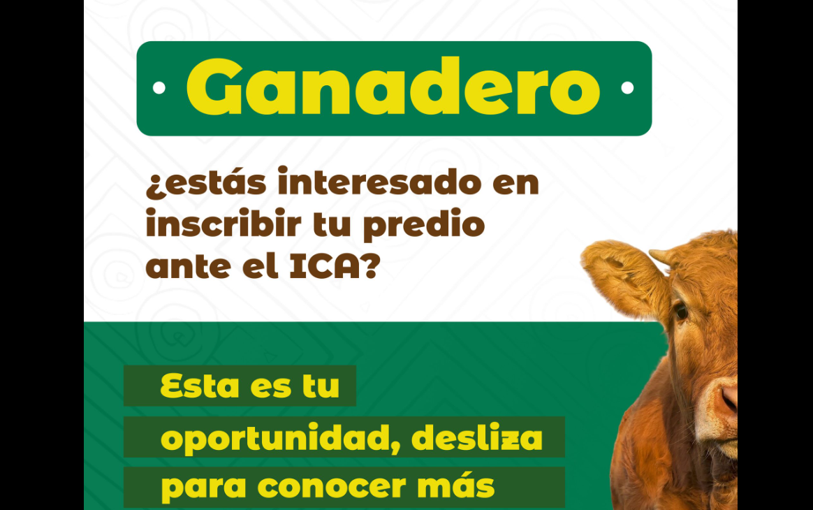 Convocatoria para ganaderos de Cogua a jornada de inscripción de predios ante el ICA