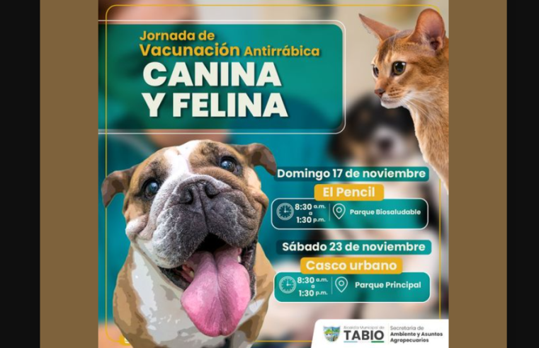 Invitan a jornada gratuita de vacunación antirrábica para perros y gatos