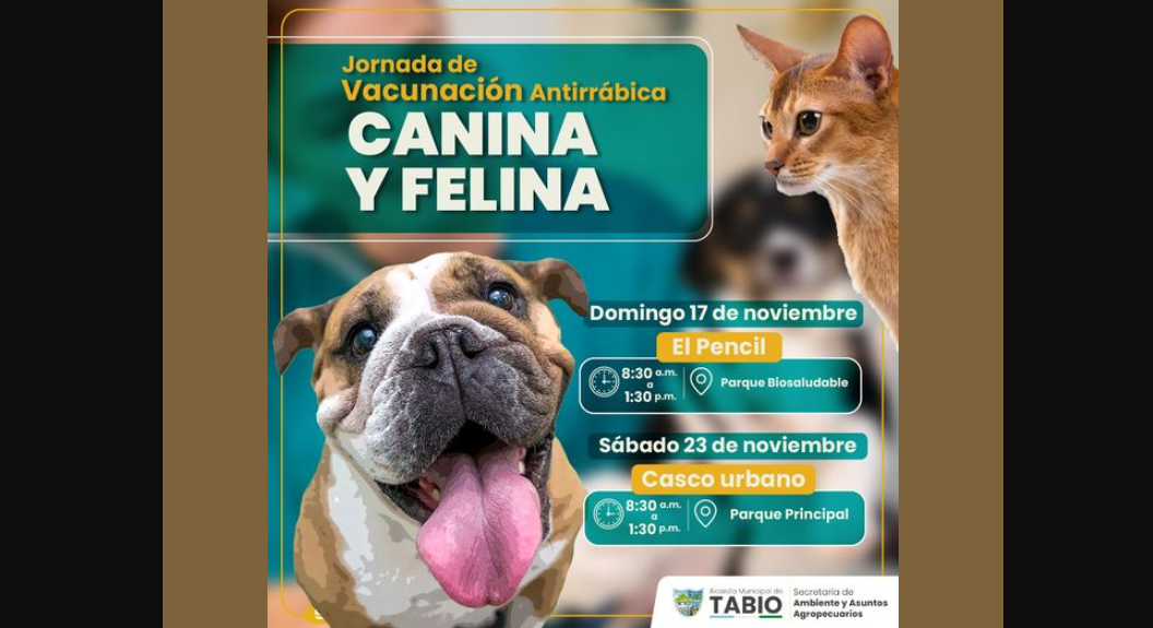 Invitan a jornada gratuita de vacunación antirrábica para perros y gatos