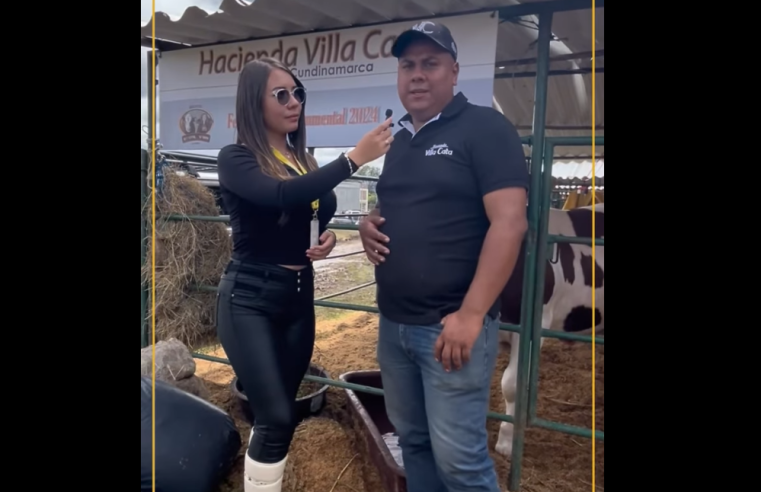 Ventajas de la raza Simmental: descubre sus bondades + Video