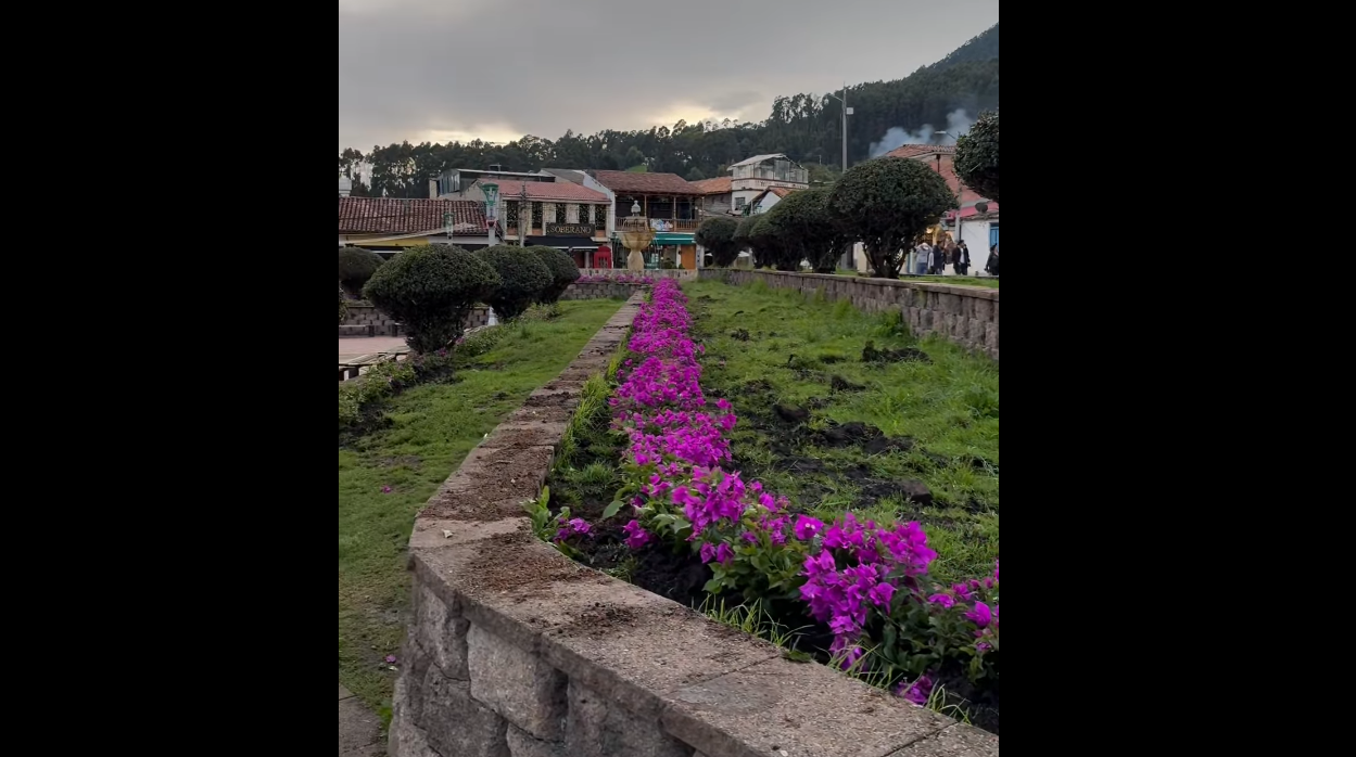 Reforestación en marcha: parques se transforman en espacios de encuentro familiar y turístico + Video