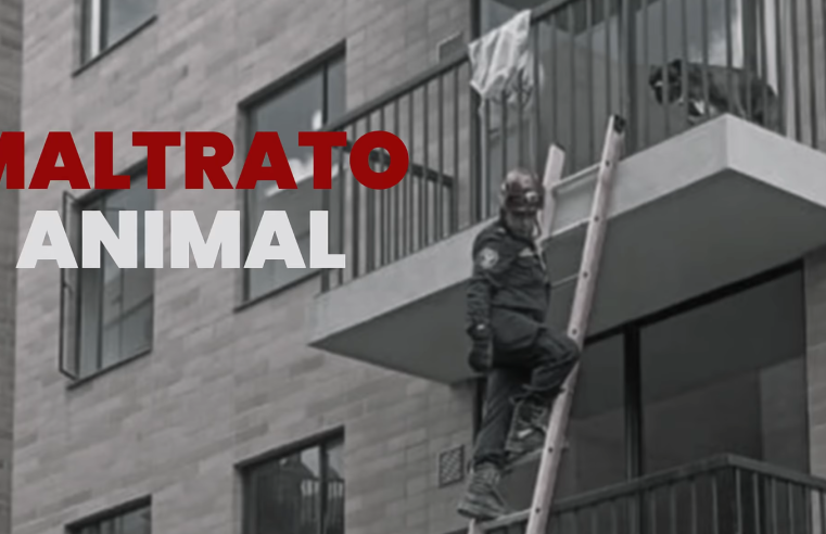 Avanzan investigaciones en caso de maltrato animal en Cajicá + Video