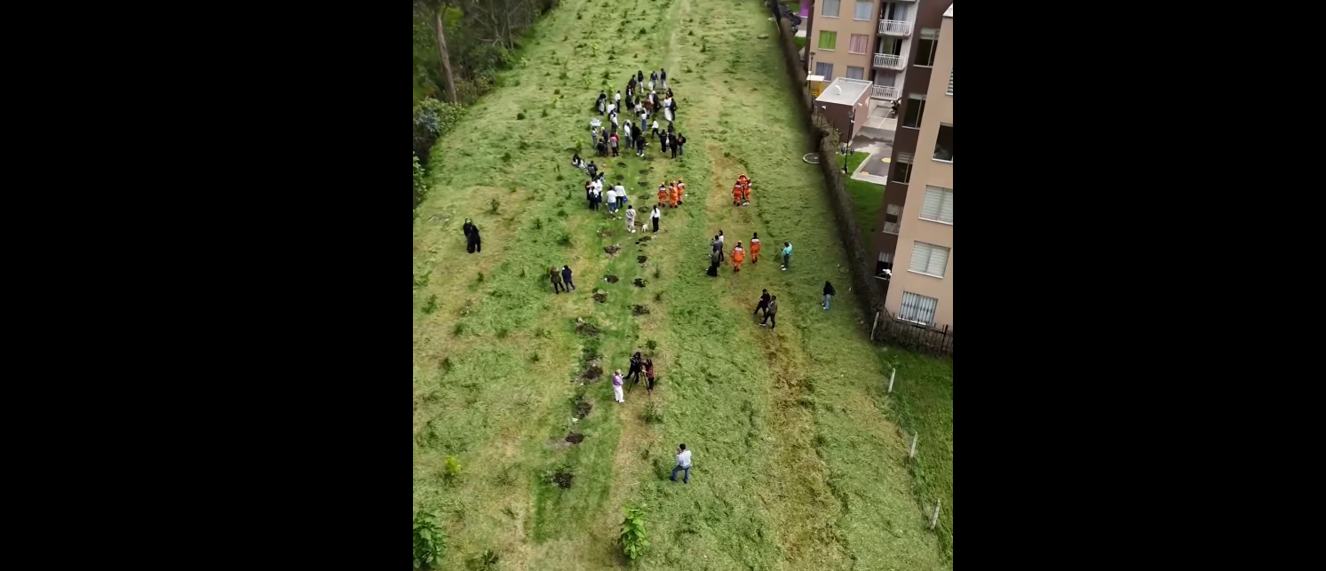 Homenaje a víctimas de violencia en Cundinamarca con siembra de árboles nativos + Video