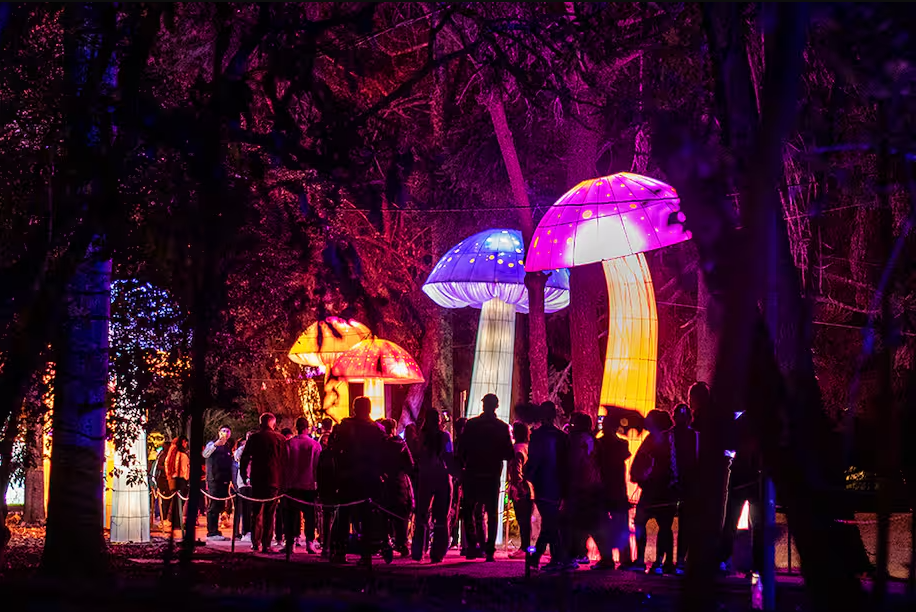 El Jardín Botánico de Bogotá Celebra la Navidad con Cine y Sostenibilidad: Horarios y Boletas