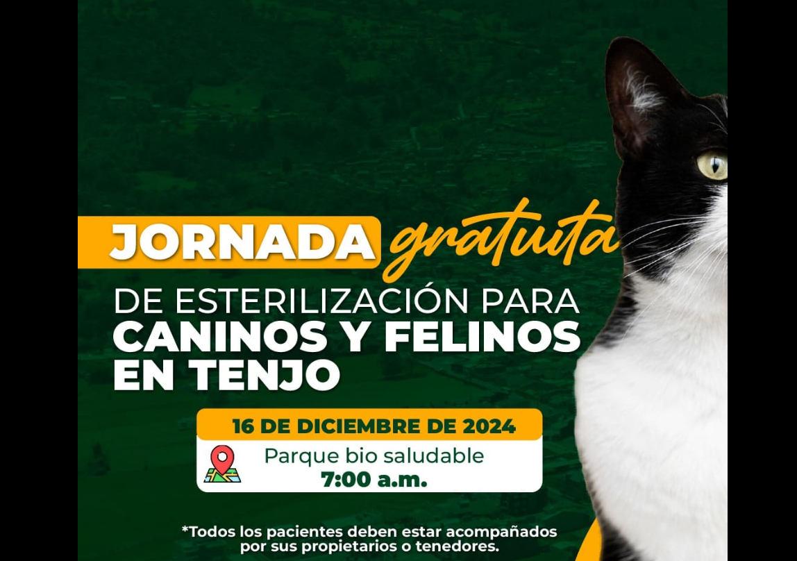 Tenjo realiza jornada gratuita de esterilización para mascotas