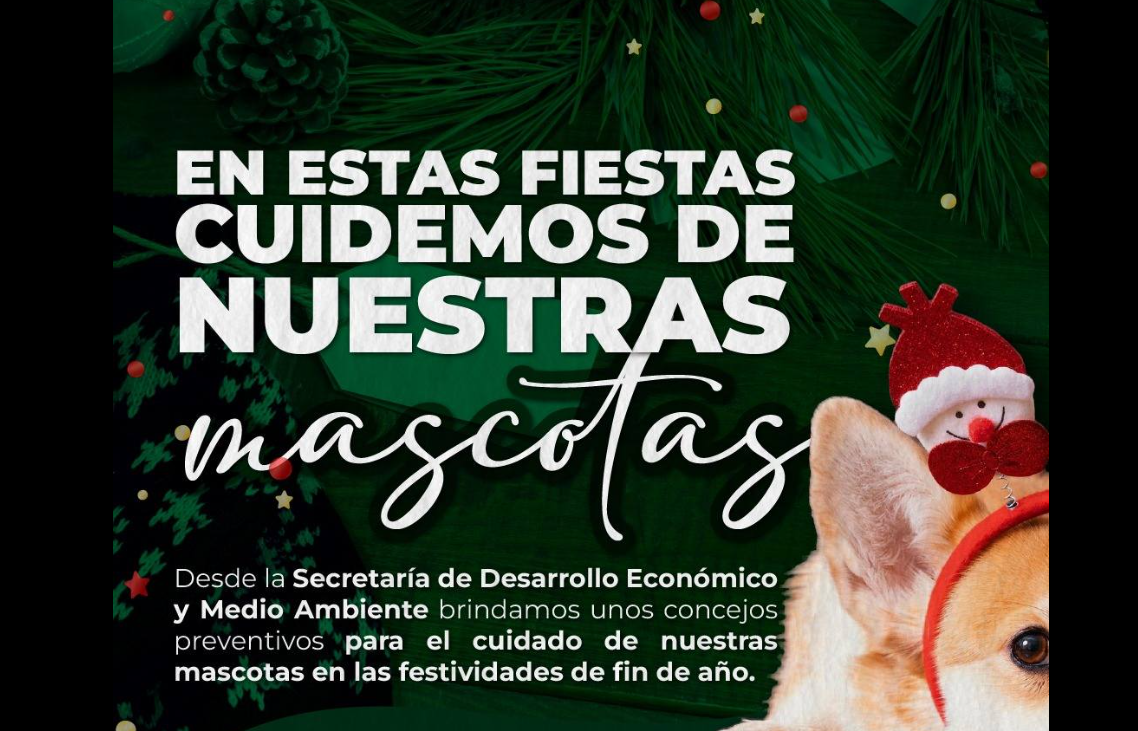 Consejos para proteger a las mascotas durante las fiestas de fin de año