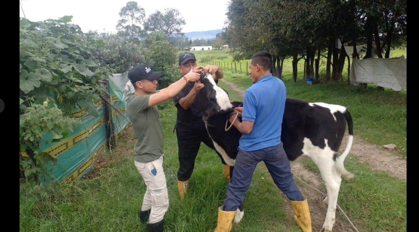 Acompañamiento agropecuario: bienestar animal y apoyo a las familias