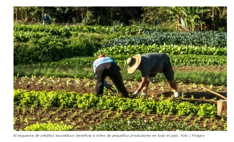 Finagro impulsa el agro colombiano con más de 2,2 billones en créditos asociativos