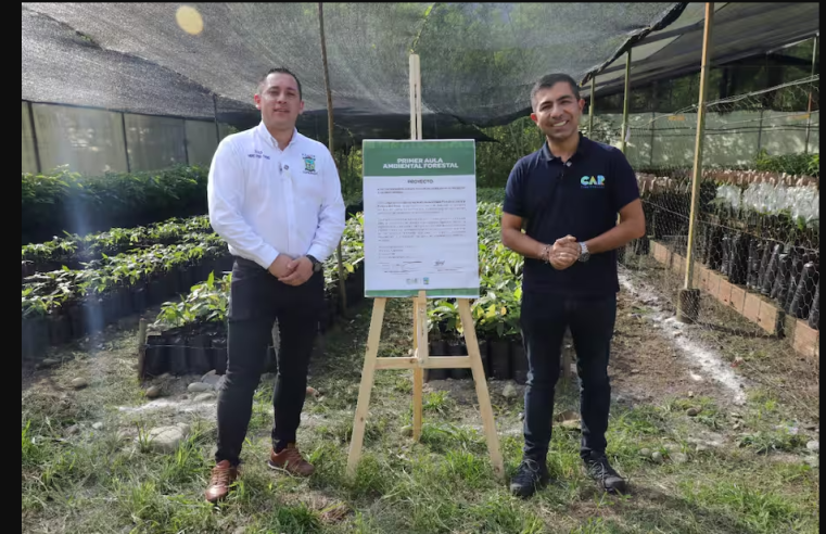 CAR Inicia Proyecto de Reforestación en 104 Municipios con Aulas Ambientales
