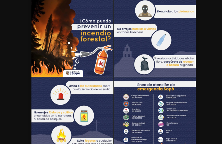 Llamado a la prevención de incendios forestales