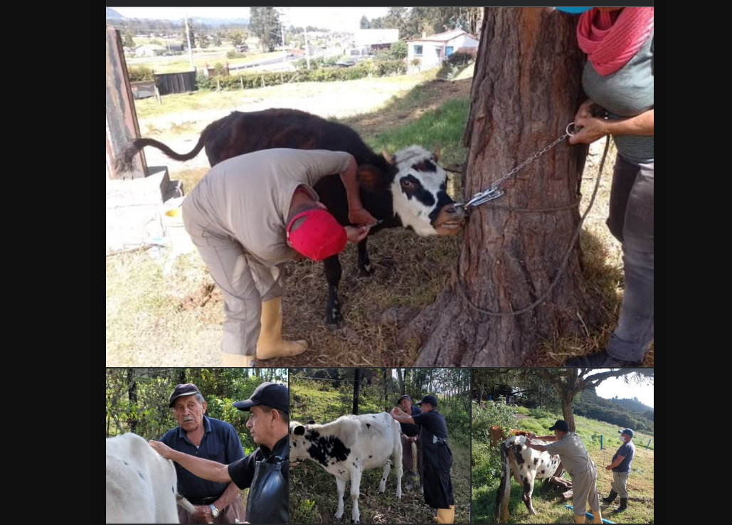 Tocancipá impulsa el desarrollo rural y la protección animal