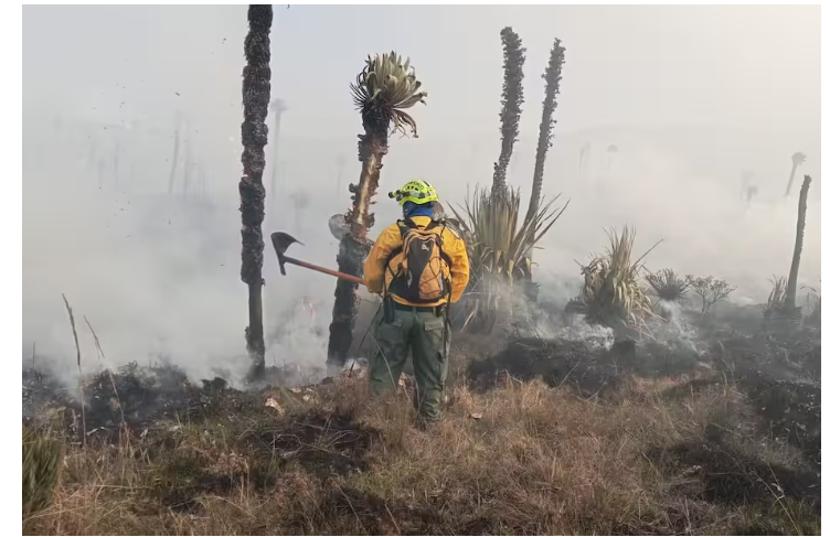 |Incendio| en el páramo La Cortadera: llega apoyo aéreo para combatir las |llamas|