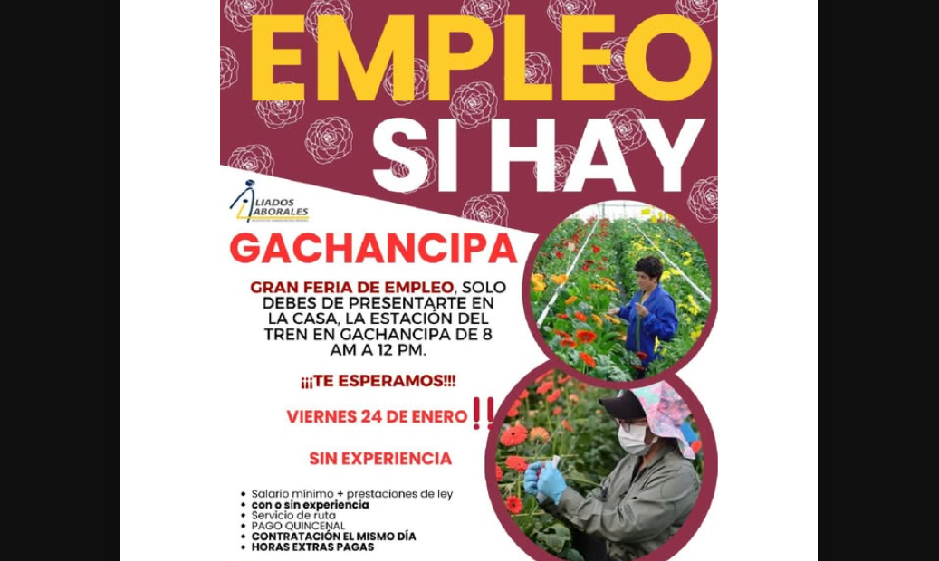 |Gachancipá| organiza gran |feria de empleo| con contratación inmediata