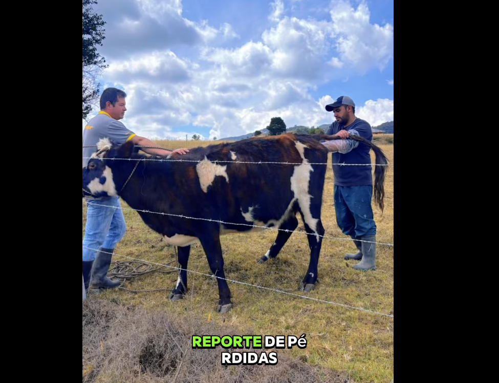 |Nemocón| fortalece el apoyo al sector rural con feria de servicios en Cerro Verde + Video