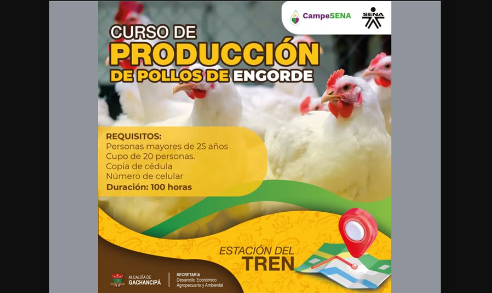 |Inscripciones abiertas| para curso de producción de pollos de engorde con el |SENA|